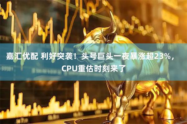 嘉汇优配 利好突袭！头号巨头一夜暴涨超23%， CPU重估时刻来了